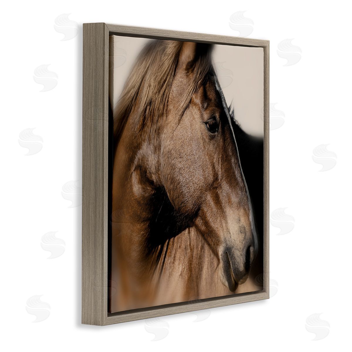 Danita Delimont | Elegant Brown Horse Close Up