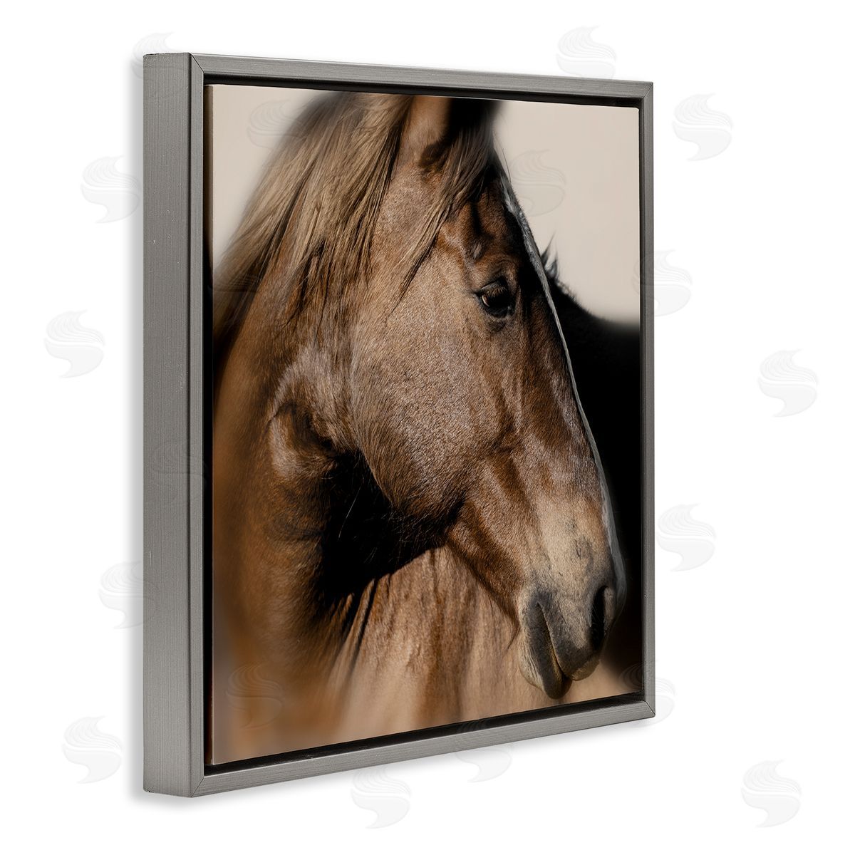Danita Delimont | Elegant Brown Horse Close Up