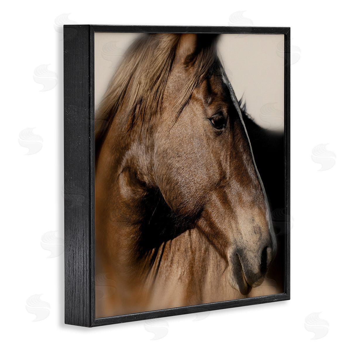 Danita Delimont | Elegant Brown Horse Close Up