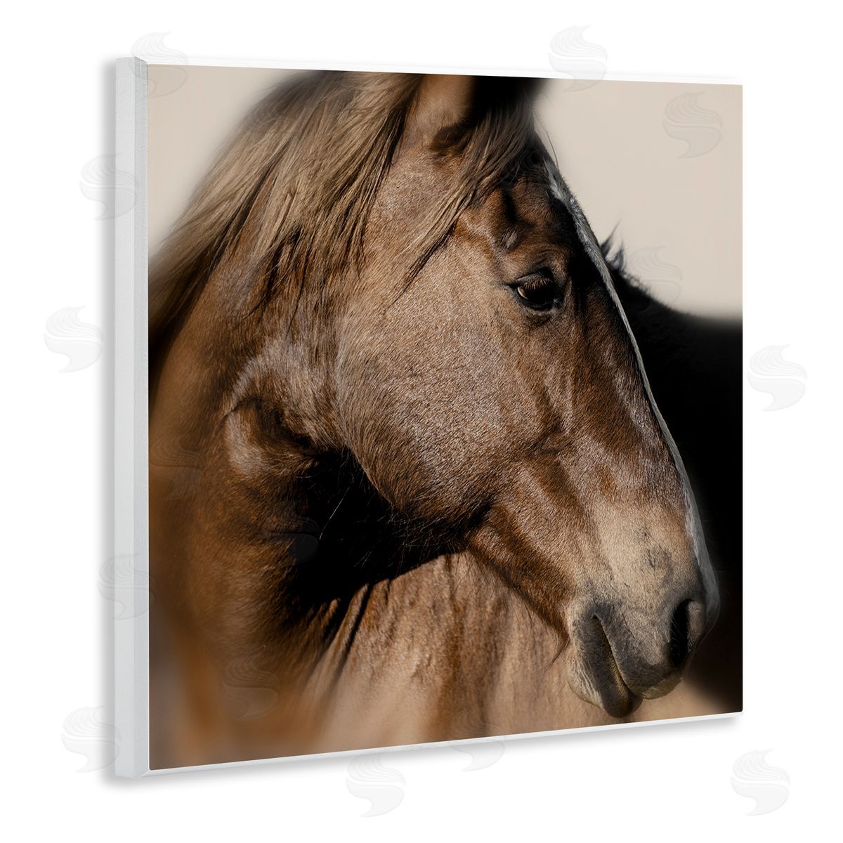 Danita Delimont | Elegant Brown Horse Close Up