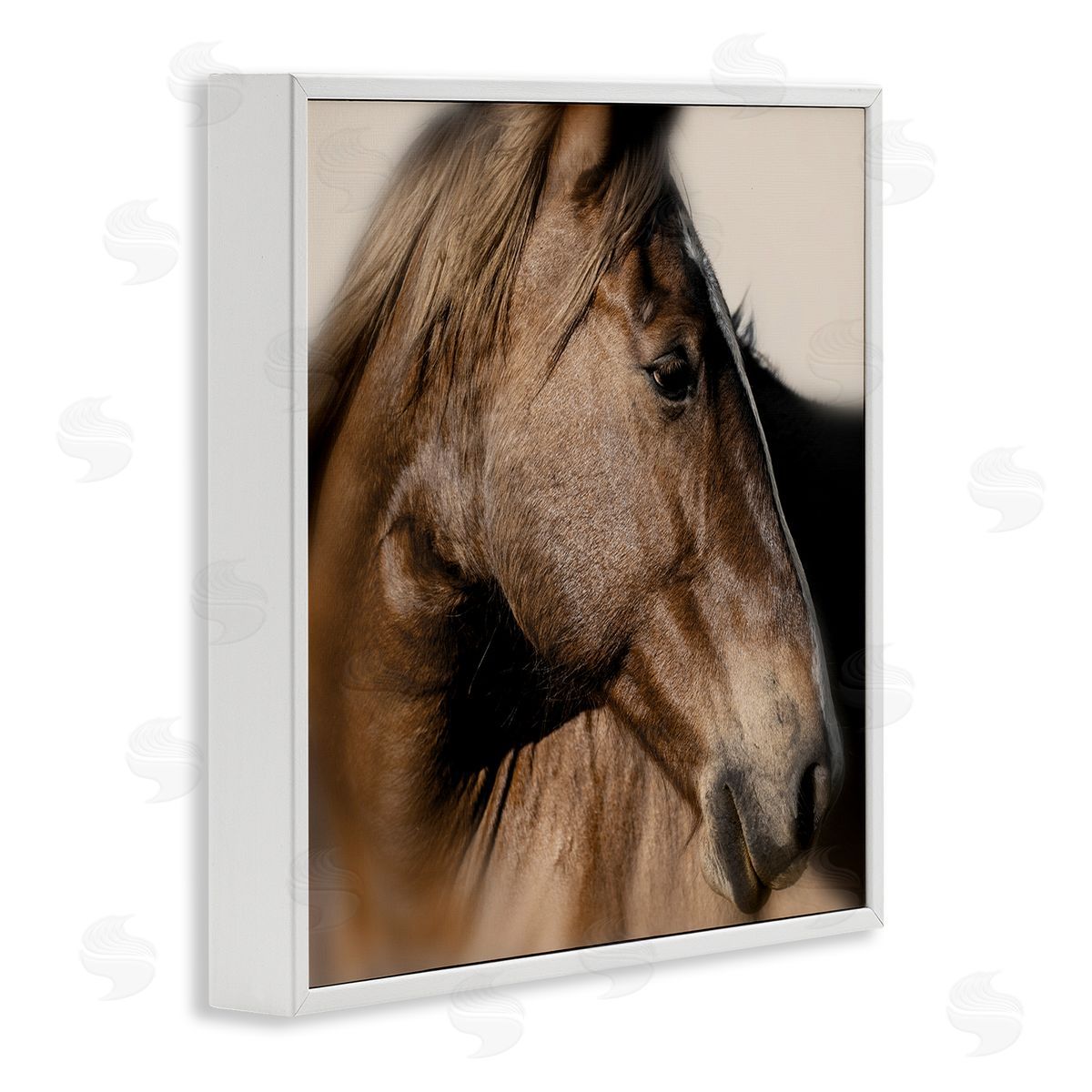 Danita Delimont | Elegant Brown Horse Close Up