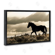 Danita Delimont | Silhouette of Horse Roaming