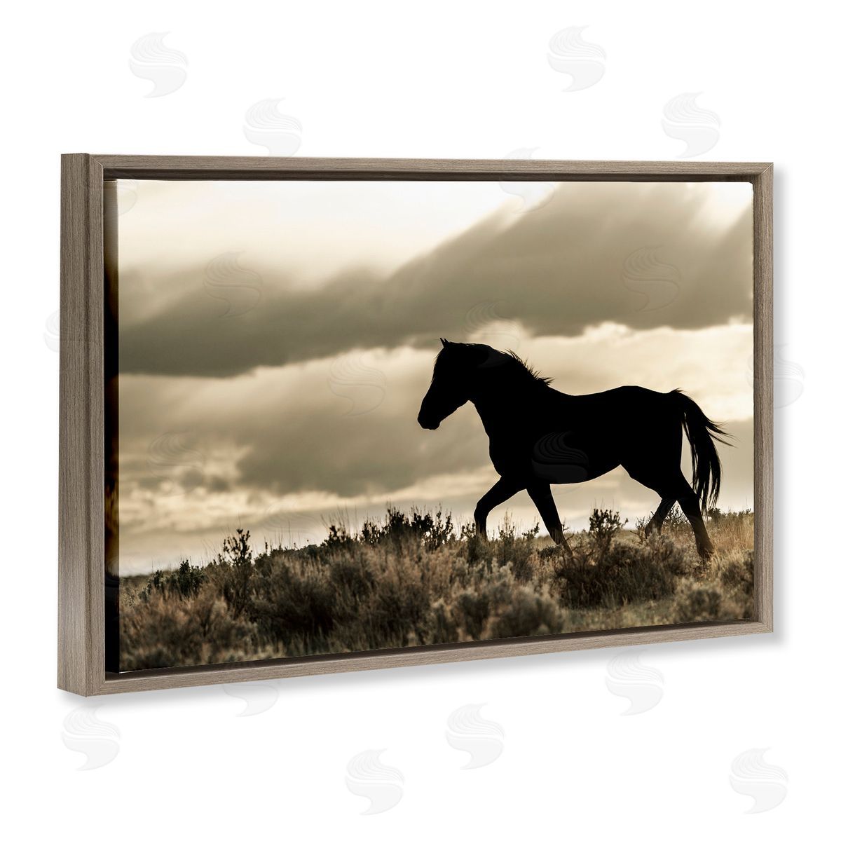 Danita Delimont | Silhouette of Horse Roaming