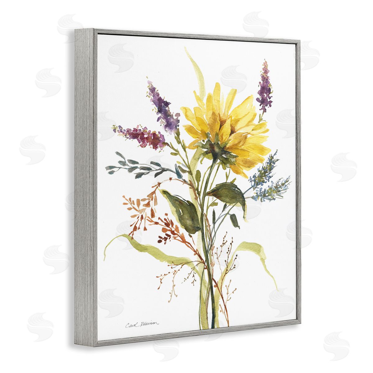 Carol Robinson | Wild Summer Blooms