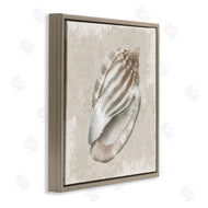 Conrad Knutsen | Conch Shell over Vintage Pattern