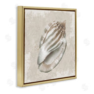Conrad Knutsen | Conch Shell over Vintage Pattern