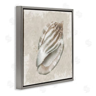 Conrad Knutsen | Conch Shell over Vintage Pattern