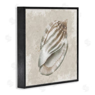 Conrad Knutsen | Conch Shell over Vintage Pattern