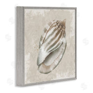 Conrad Knutsen | Conch Shell over Vintage Pattern
