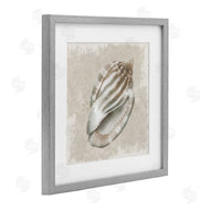 Conrad Knutsen | Conch Shell over Vintage Pattern