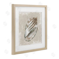 Conrad Knutsen | Conch Shell over Vintage Pattern