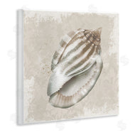 Conrad Knutsen | Conch Shell over Vintage Pattern