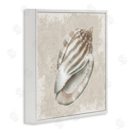 Conrad Knutsen | Conch Shell over Vintage Pattern
