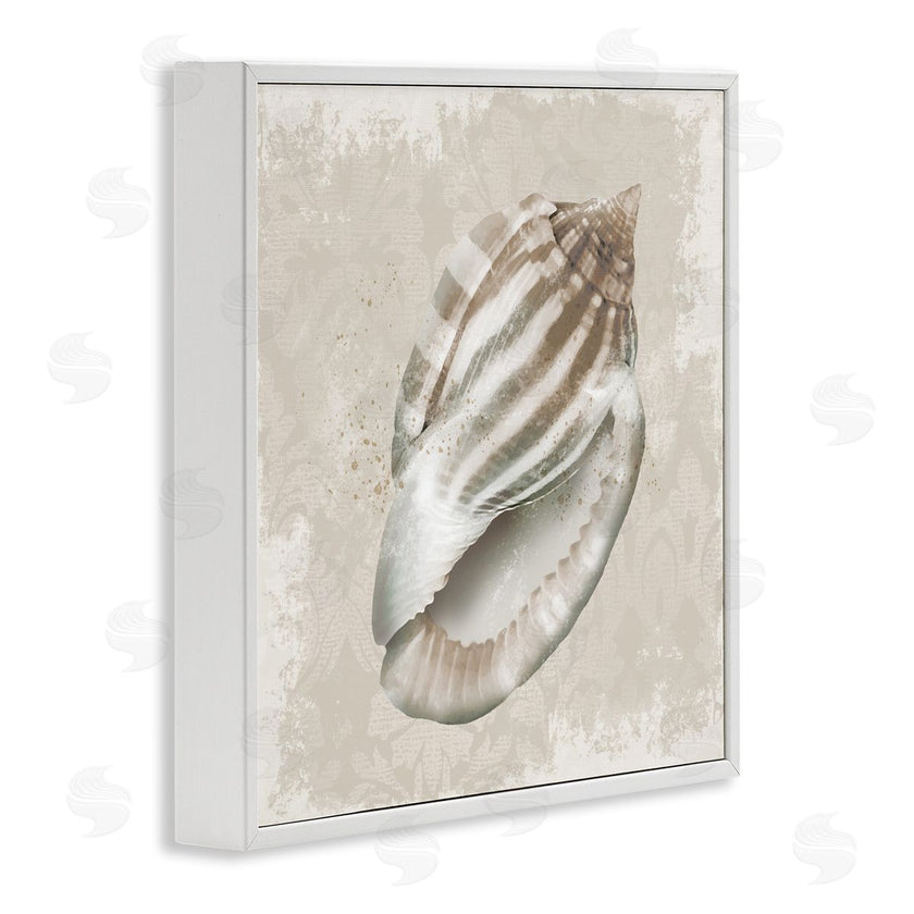 Conrad Knutsen | Conch Shell over Vintage Pattern
