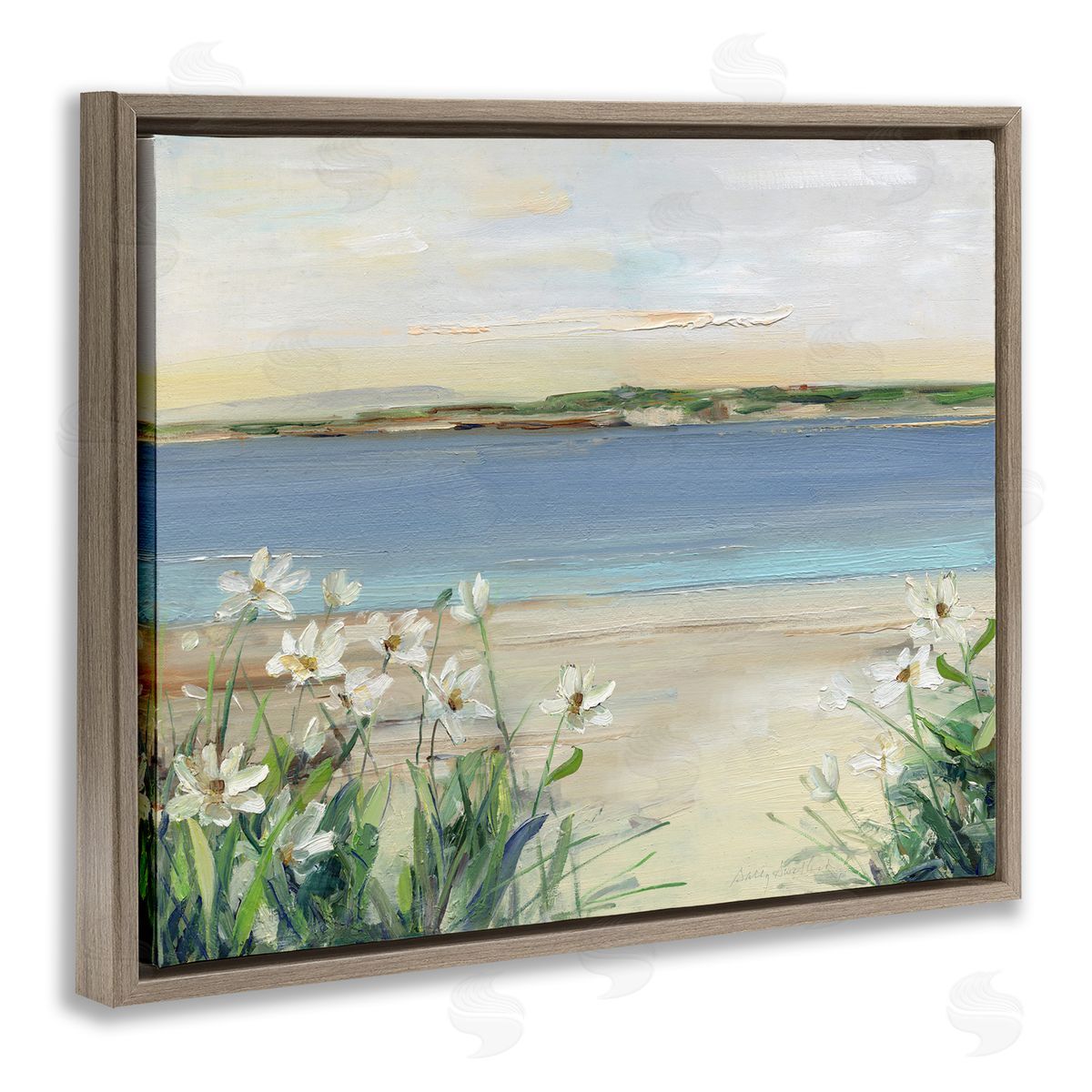 Sally Swatland | Lily Clusters Near Beach