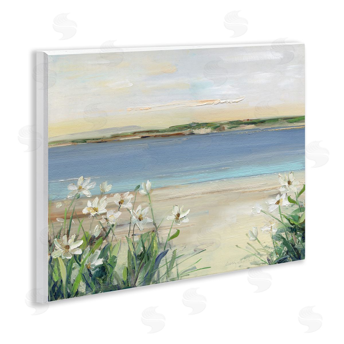 Sally Swatland | Lily Clusters Near Beach