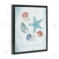 Janet Tava | Seashells and Sunshine Saying