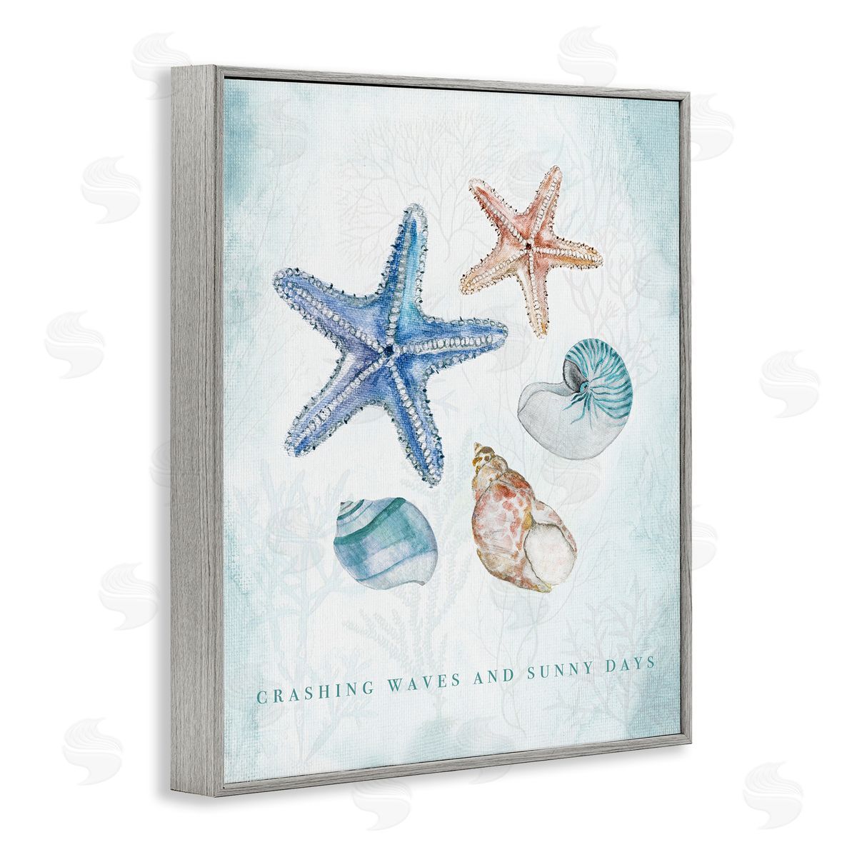 Janet Tava | Crashing Waves & Sunny Days