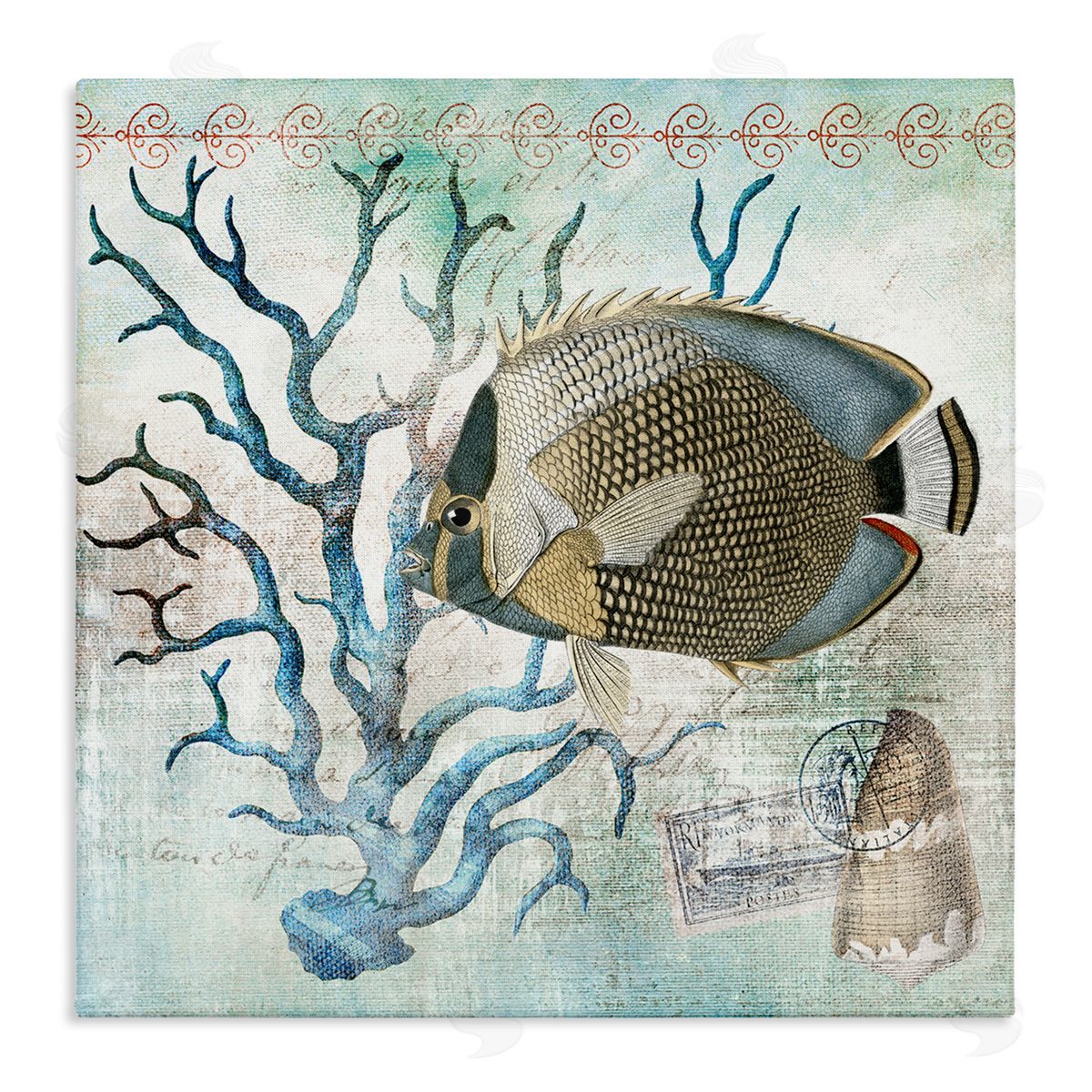 Susan Arnot | Vintage Post & Aquatic Life