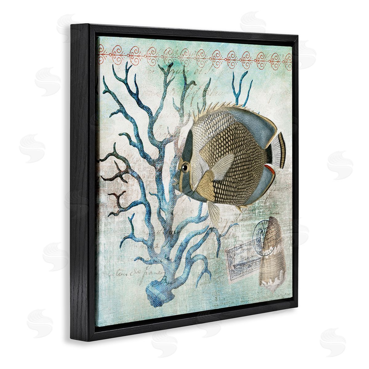 Susan Arnot | Vintage Post & Aquatic Life