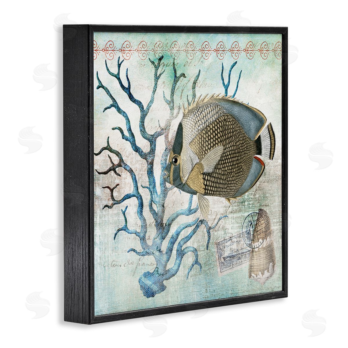Susan Arnot | Vintage Post & Aquatic Life