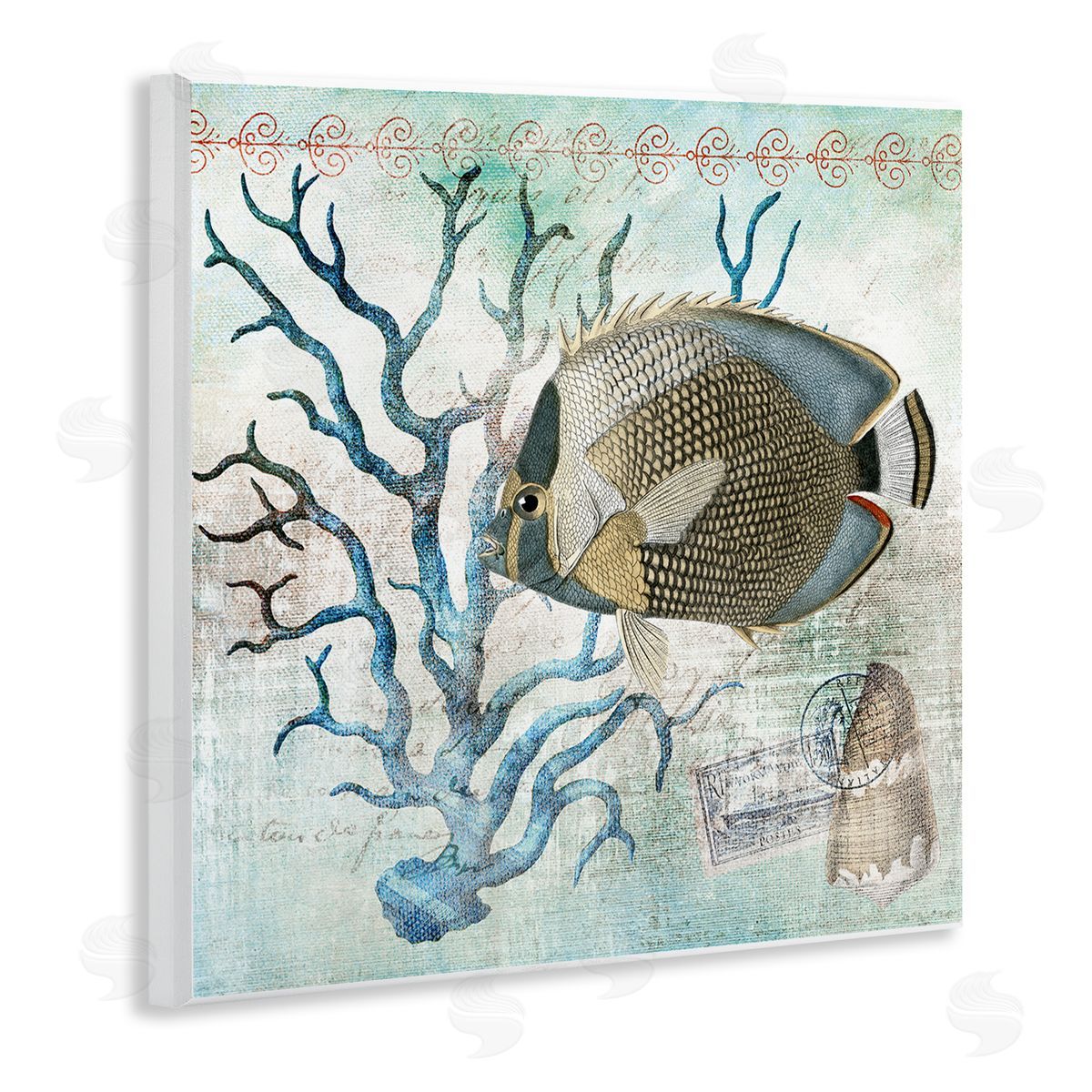 Susan Arnot | Vintage Post & Aquatic Life