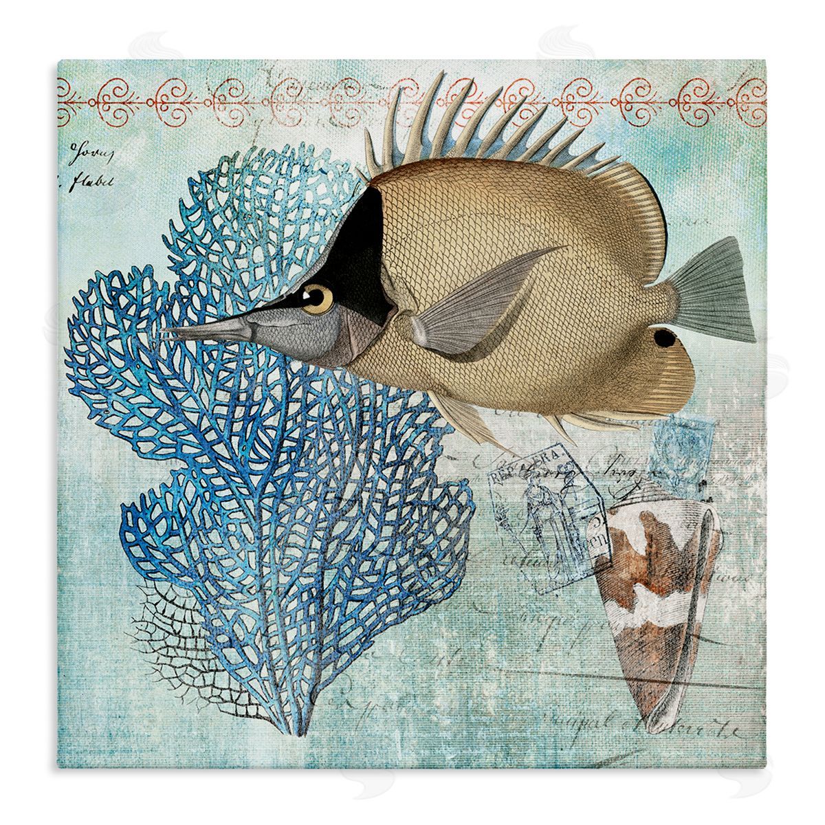 Susan Arnot | Vintage Style Sea Life