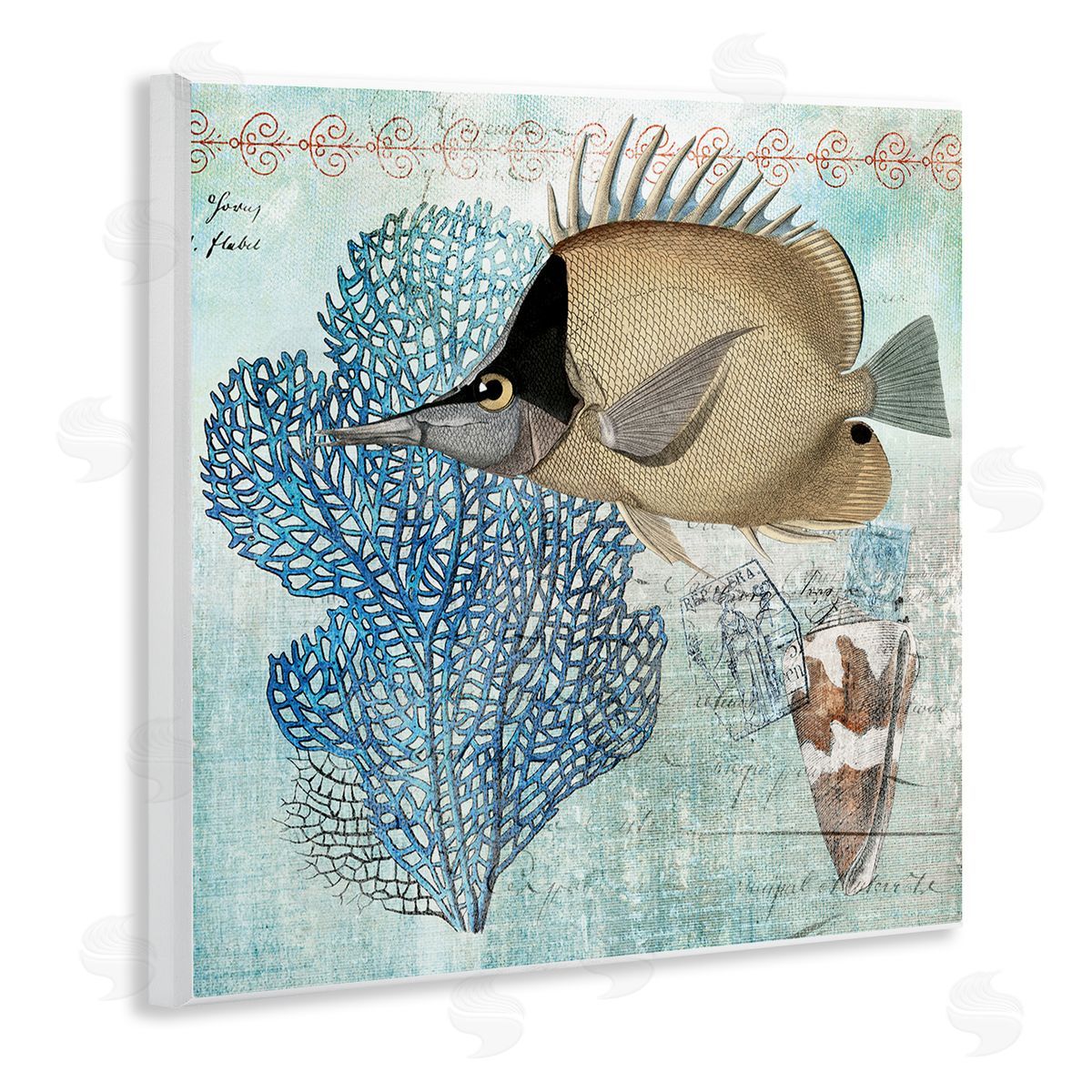 Susan Arnot | Vintage Style Sea Life