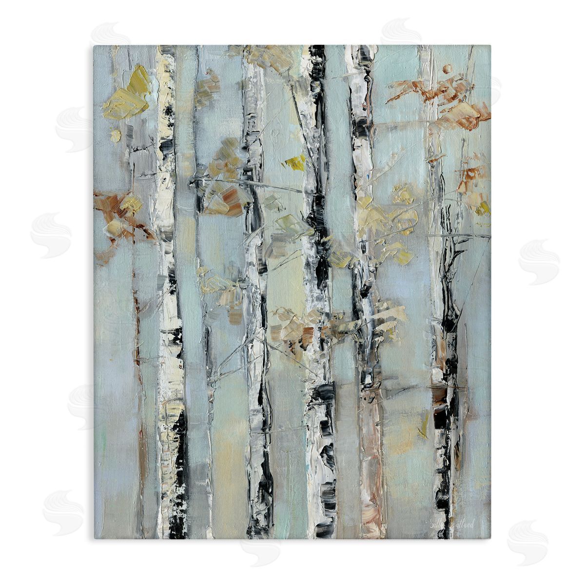 Sally Swatland | Autumn Birch Trees
