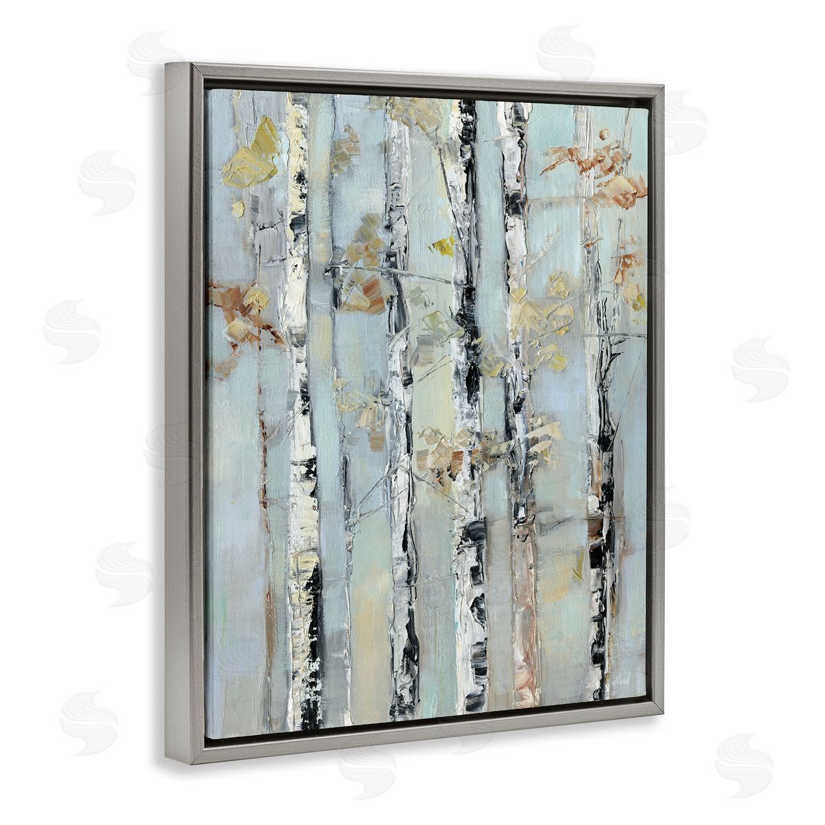 Sally Swatland | Autumn Birch Trees