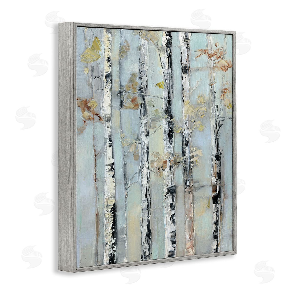 Sally Swatland | Autumn Birch Trees