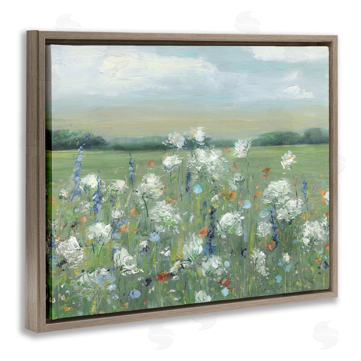 Sally Swatland | Dappled Meadow Flowers in Field