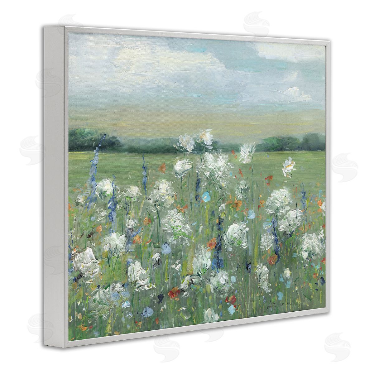 Sally Swatland | Dappled Meadow Flowers in Field