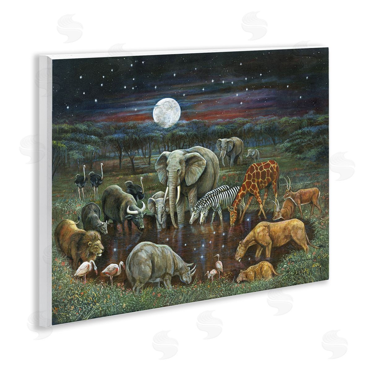 Ruane Manning | Animal Pairs at Watering Hole