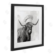 Nan | Kitchen Chef Cattle