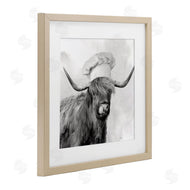 Nan | Kitchen Chef Cattle