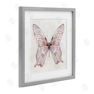 Carol Robinson | Faded Blush Butterfly