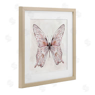 Carol Robinson | Faded Blush Butterfly