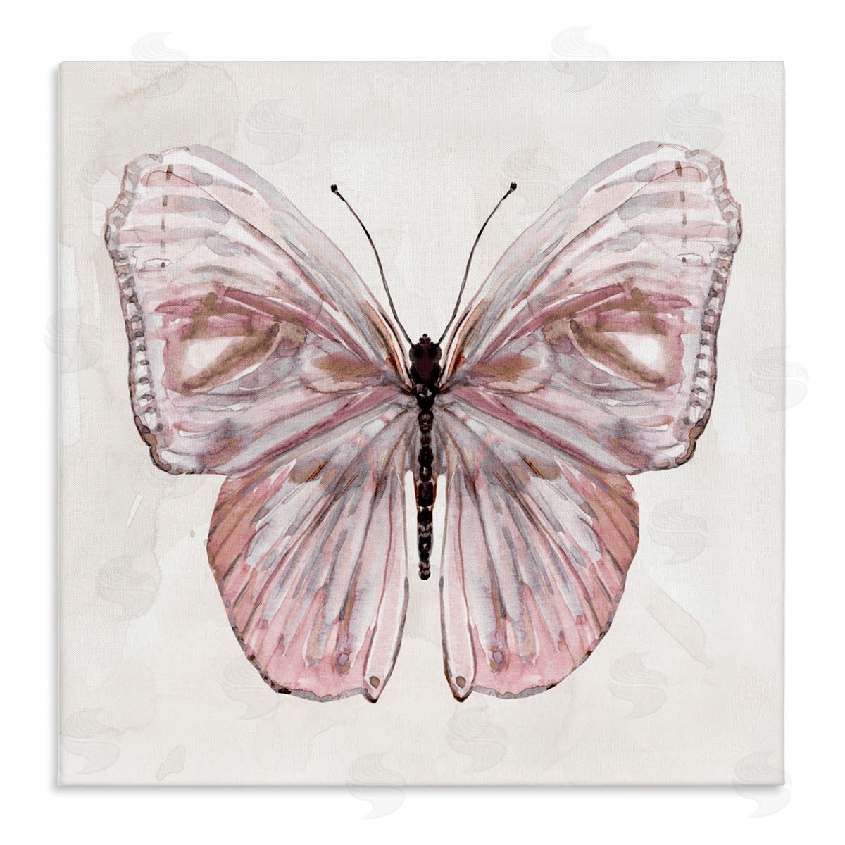 Carol Robinson Muted Pink Butterfly Canvas Wall Art Print