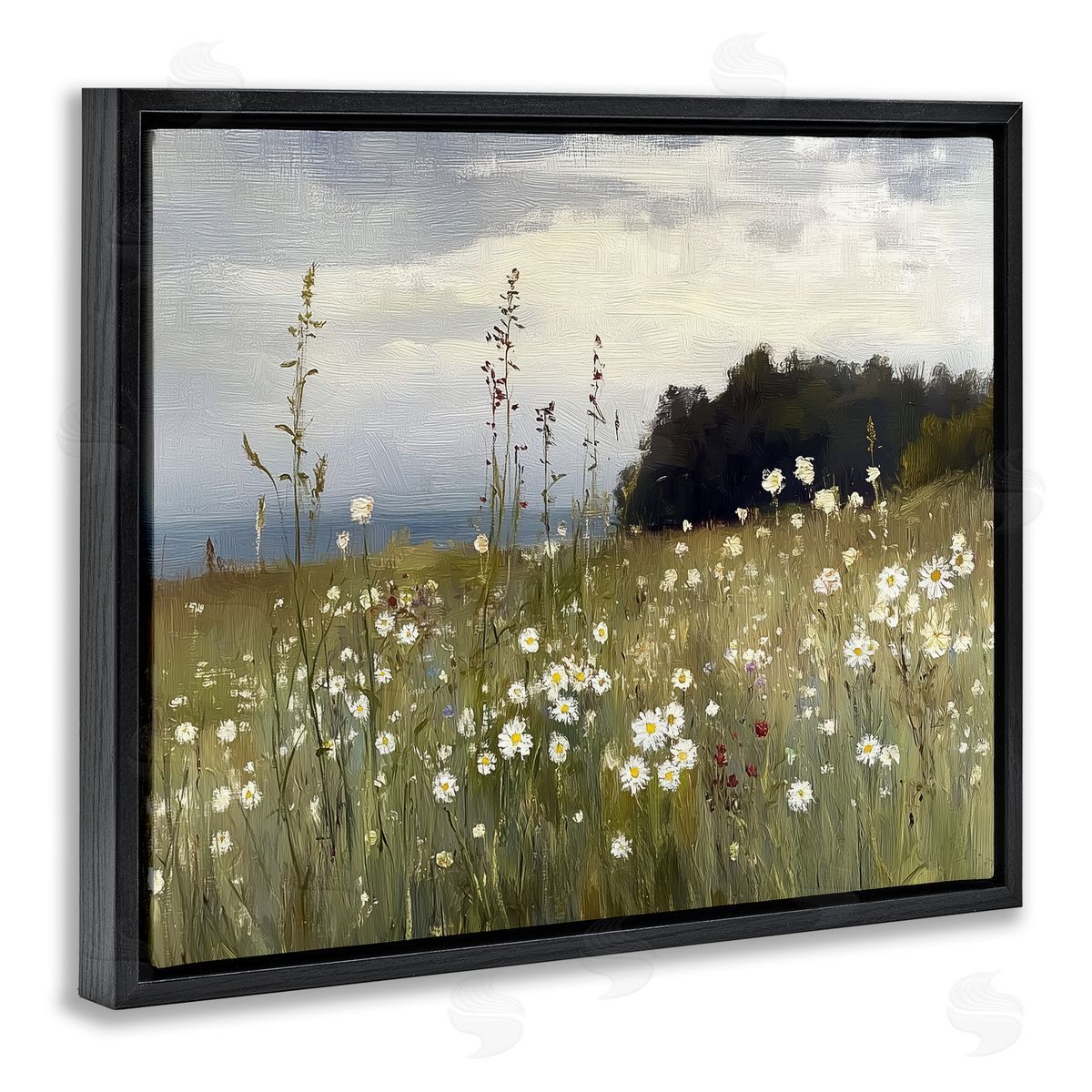 Annabelle Hall | Seaside Daisy Meadow