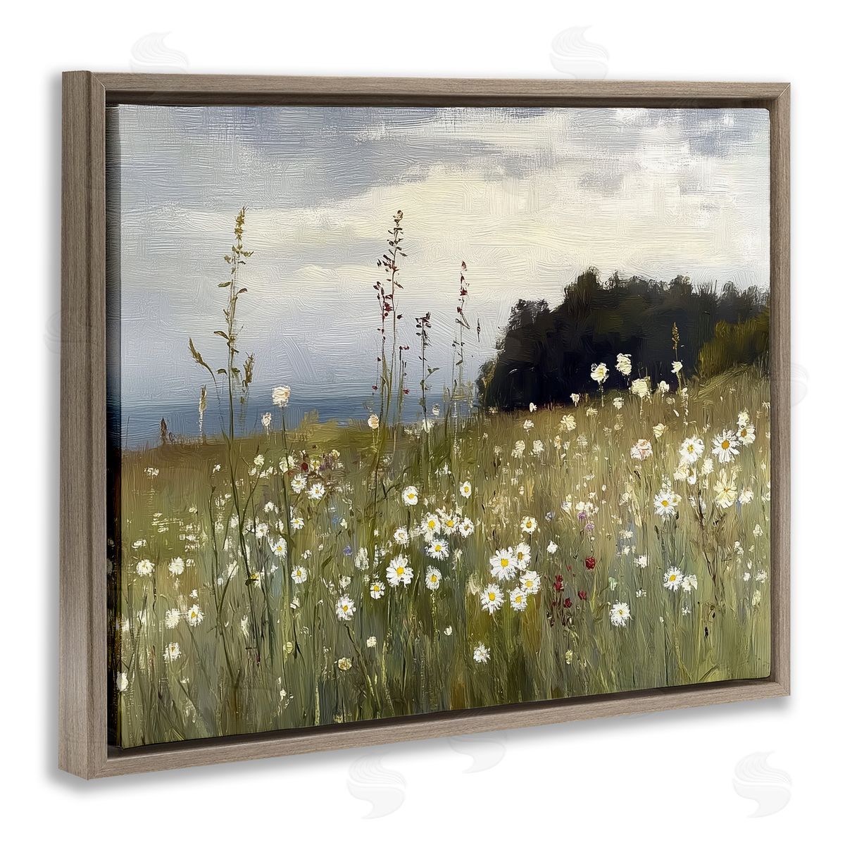 Annabelle Hall | Seaside Daisy Meadow