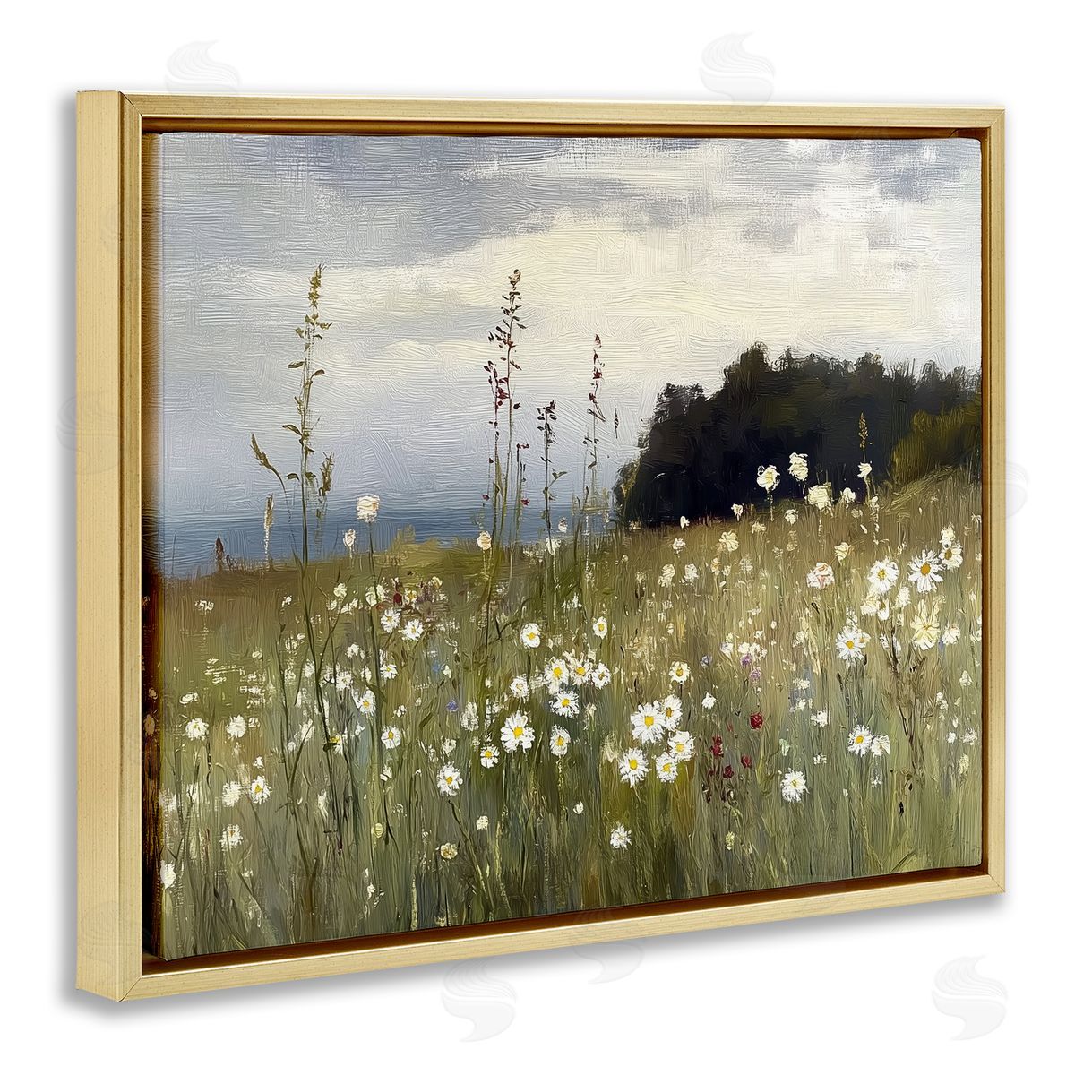 Annabelle Hall | Seaside Daisy Meadow