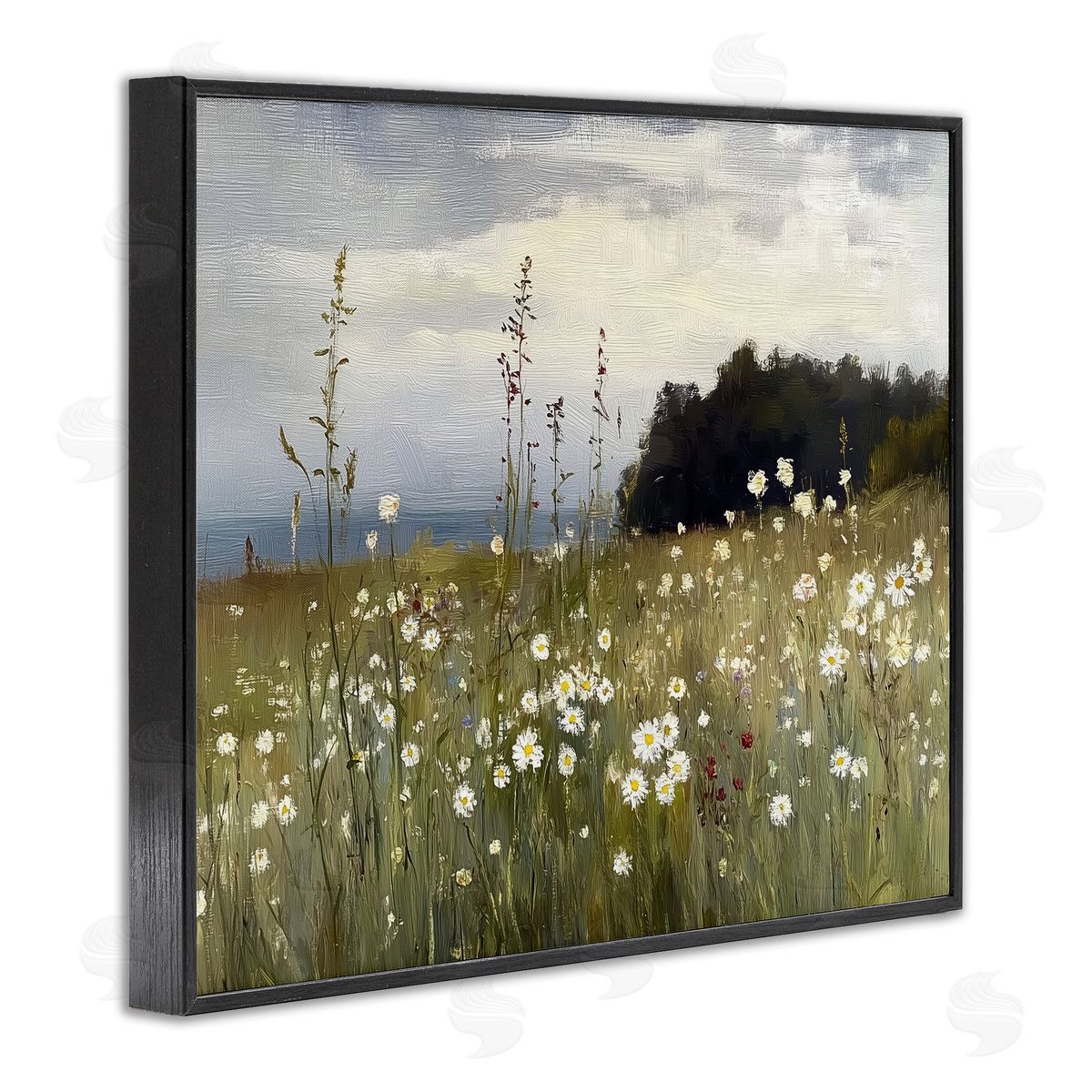 Annabelle Hall | Seaside Daisy Meadow