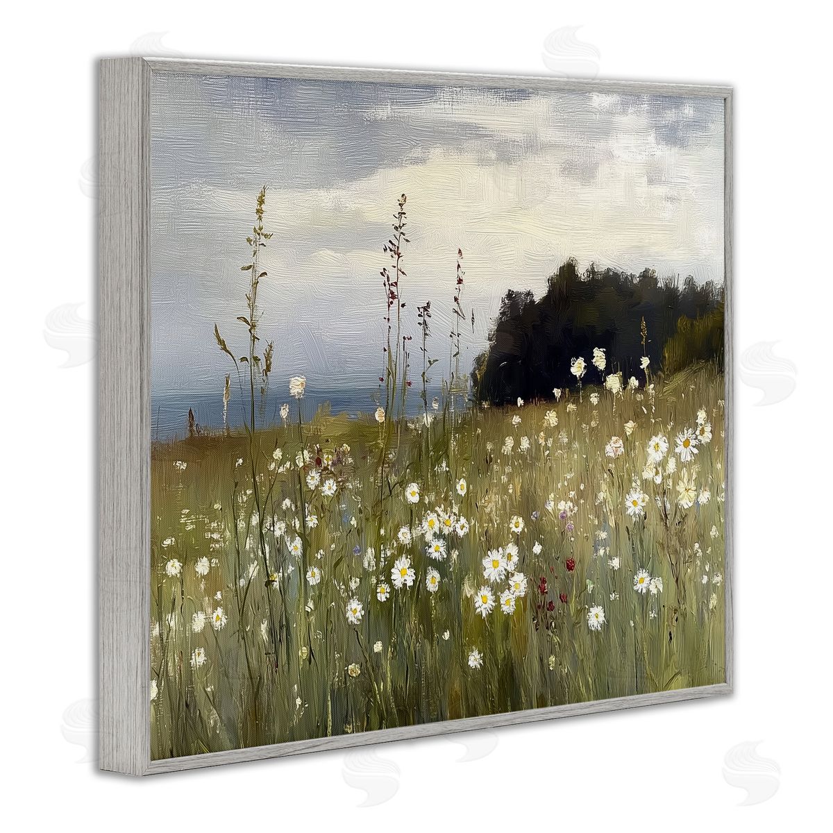 Annabelle Hall | Seaside Daisy Meadow