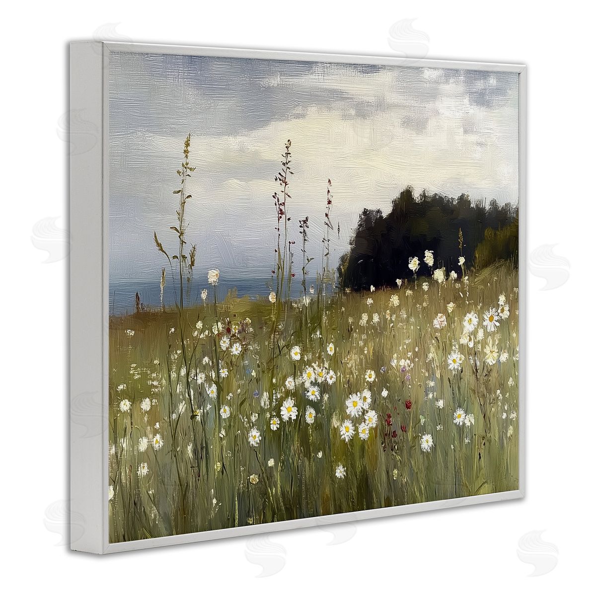 Annabelle Hall | Seaside Daisy Meadow