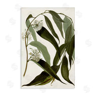 Annabelle Hall | Curving Wild Herb Flower