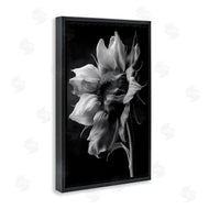 Annabelle Hall | Stark Contrast Sunflower Blossom