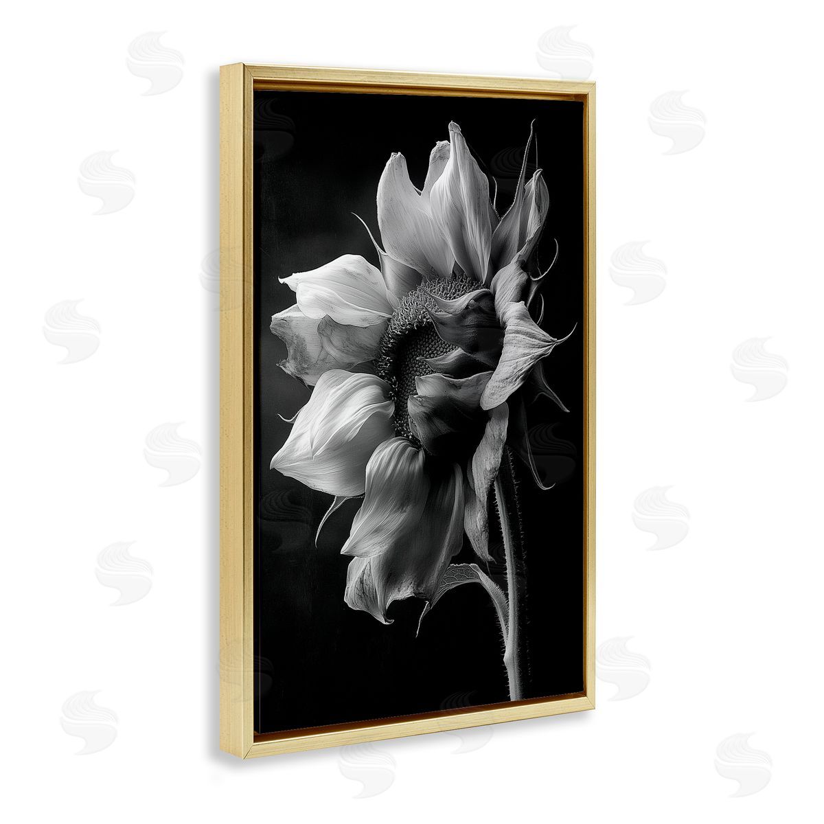 Annabelle Hall | Stark Contrast Sunflower Blossom