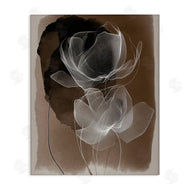 Annabelle Hall | Gossamer Roses on Brown
