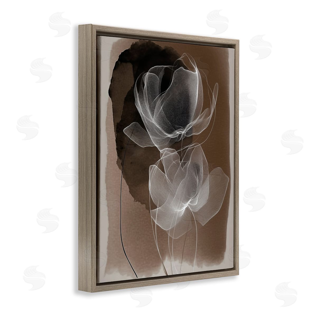 Annabelle Hall | Gossamer Roses on Brown